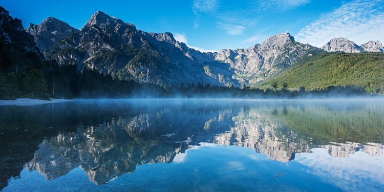 AVFM’s last ever fundraiser for server expenses