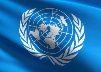 Bias against men’s issues within the United Nations and the World Health Organization: A content analysis
